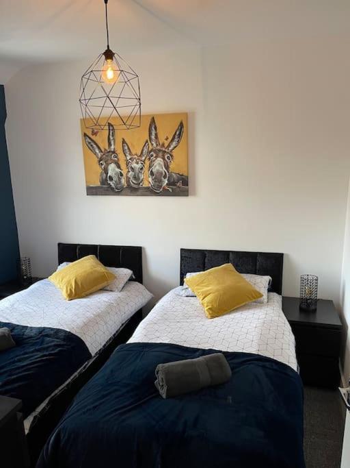 Luxury Accommodation. ولاسي المظهر الخارجي الصورة